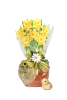 Daffodil Box