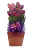Tulip Box
